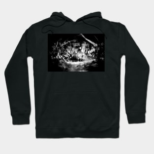 Frogger - Black & White Hoodie